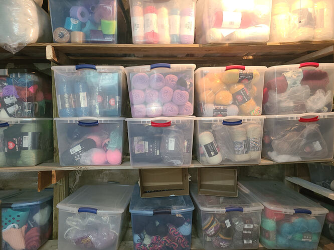 IMG_17672195195384703407972096040822