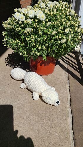 IMG_17582140052672711038742455670113