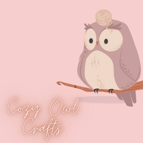 Cozy Owl Crochet (2)