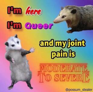 Screenshot 2024-12-16 9.16.13 AM