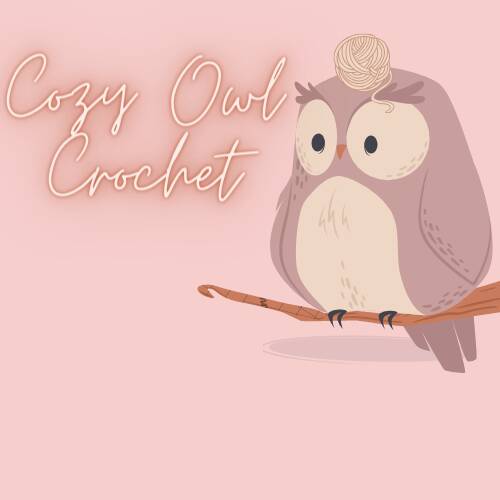 Cozy Owl Crochet (1)