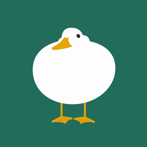 DuckDanceGIF