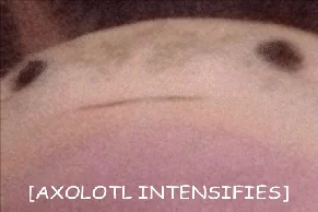 axolotl intensifies GIF