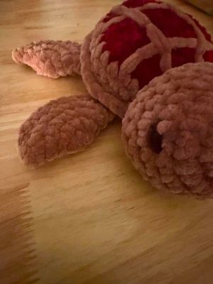 cherry pie turtle