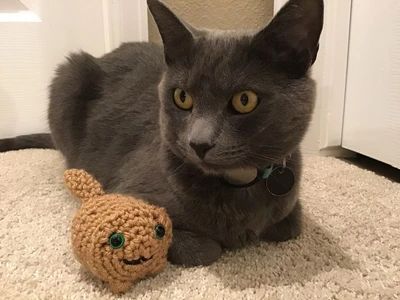 Mini Kitty