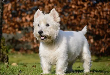 weeeeeeeeeeeeeeeeeeeeeeeeeeeeeeeee