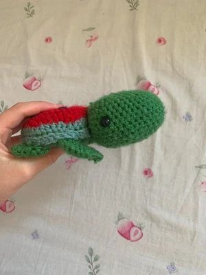 Watermelon turtle