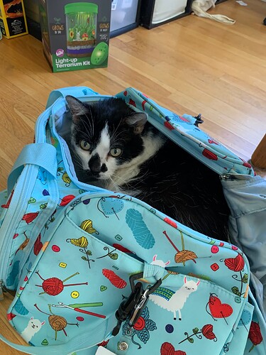 d93e38bc613566ce349aeac819095217d9dd9cde_2_375x500