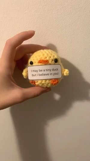 Emotional support chick