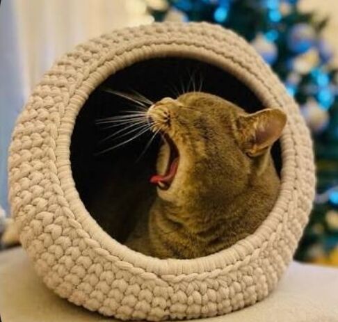 Screenshot_20250825_145657_Google