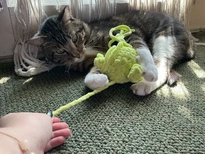 Wriggler cat toy - my first pattern!