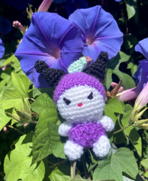 Kuromi Grape