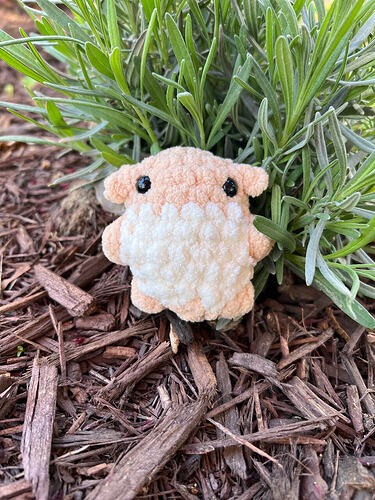 13967590b036e480ad626be30752d2c7347c80ca_2_375x500