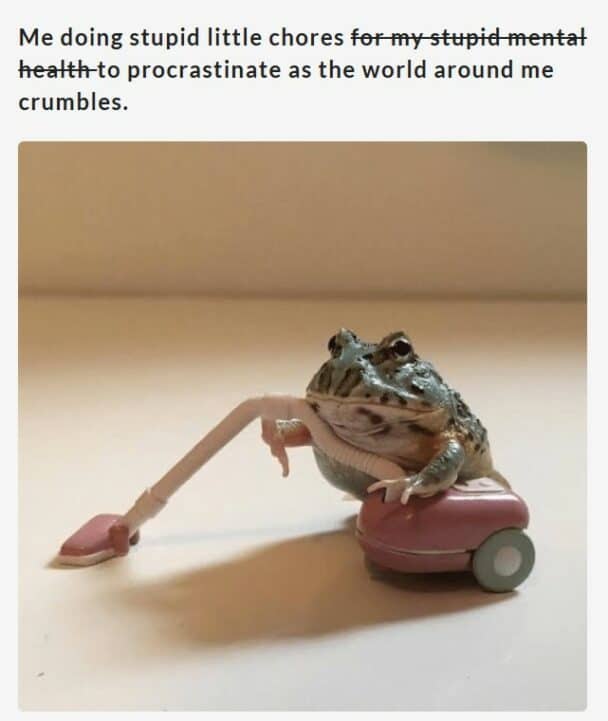 funny-frog-memes17-608x721-48975520