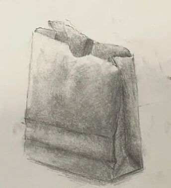 Bag Observational Practice