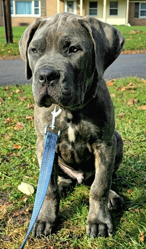 5d3f1aa278ac2e96c6f46e1bced4429d62b1cf61_2_293x500