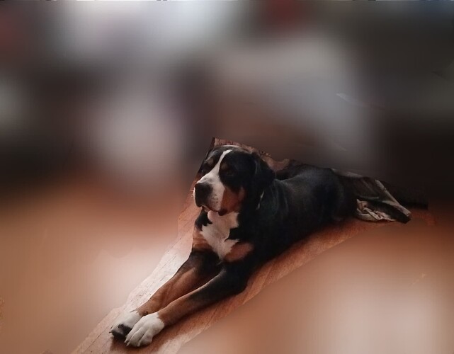 6b0276b311f9898753d7f333ad549a9a607dfc90_2_641x500