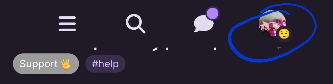 I need help for my profile picture - Support 🖐️ - Ribblr community