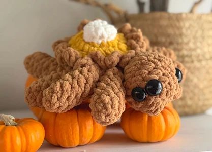 Pumpkin pie Spider