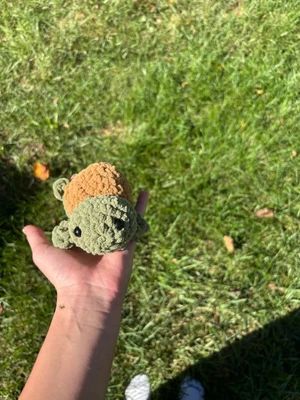 Tim the turtle