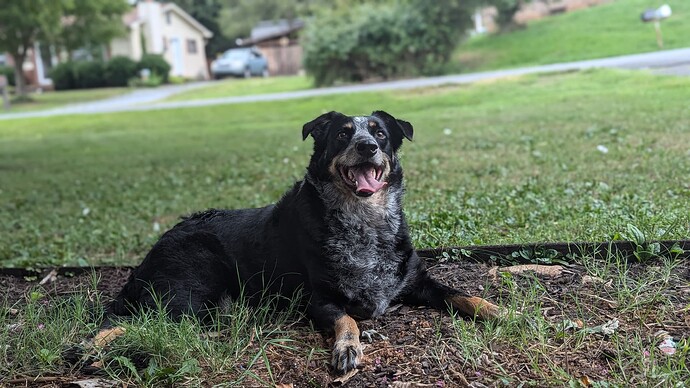 3a8cac9007da0faaed0460082b40f9ea24edc116_2_690x388