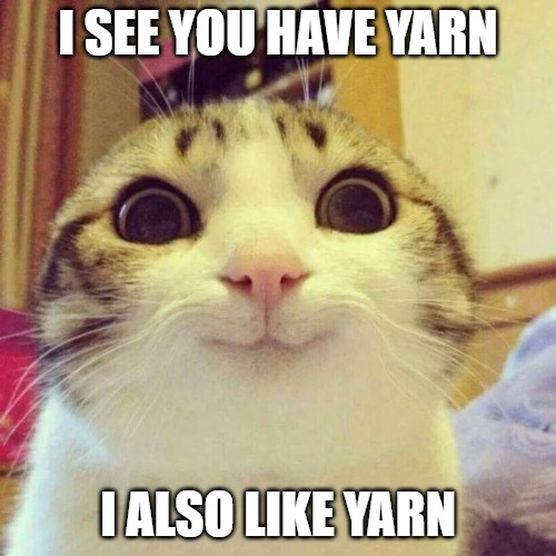 cat-and-yarn