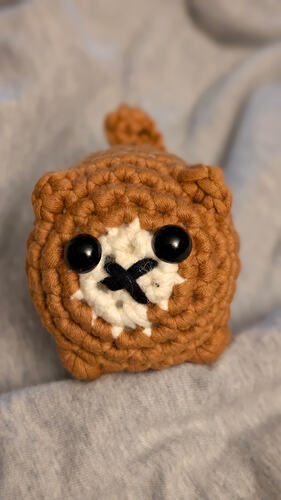 PXL_20260406_000428694.PORTRAIT