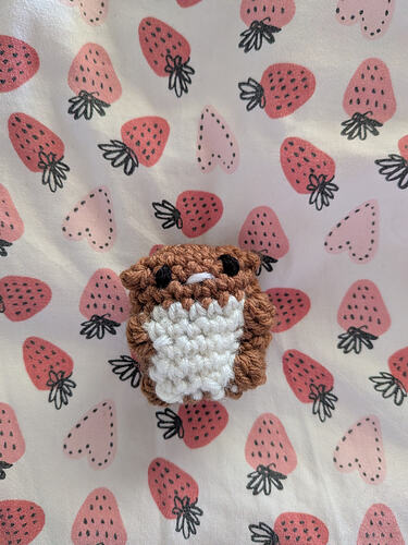 PXL_20260411_164845202